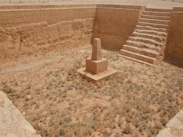 بركة